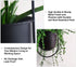 2-Pack Mid-century Modern Hanging Planter, Black Metal