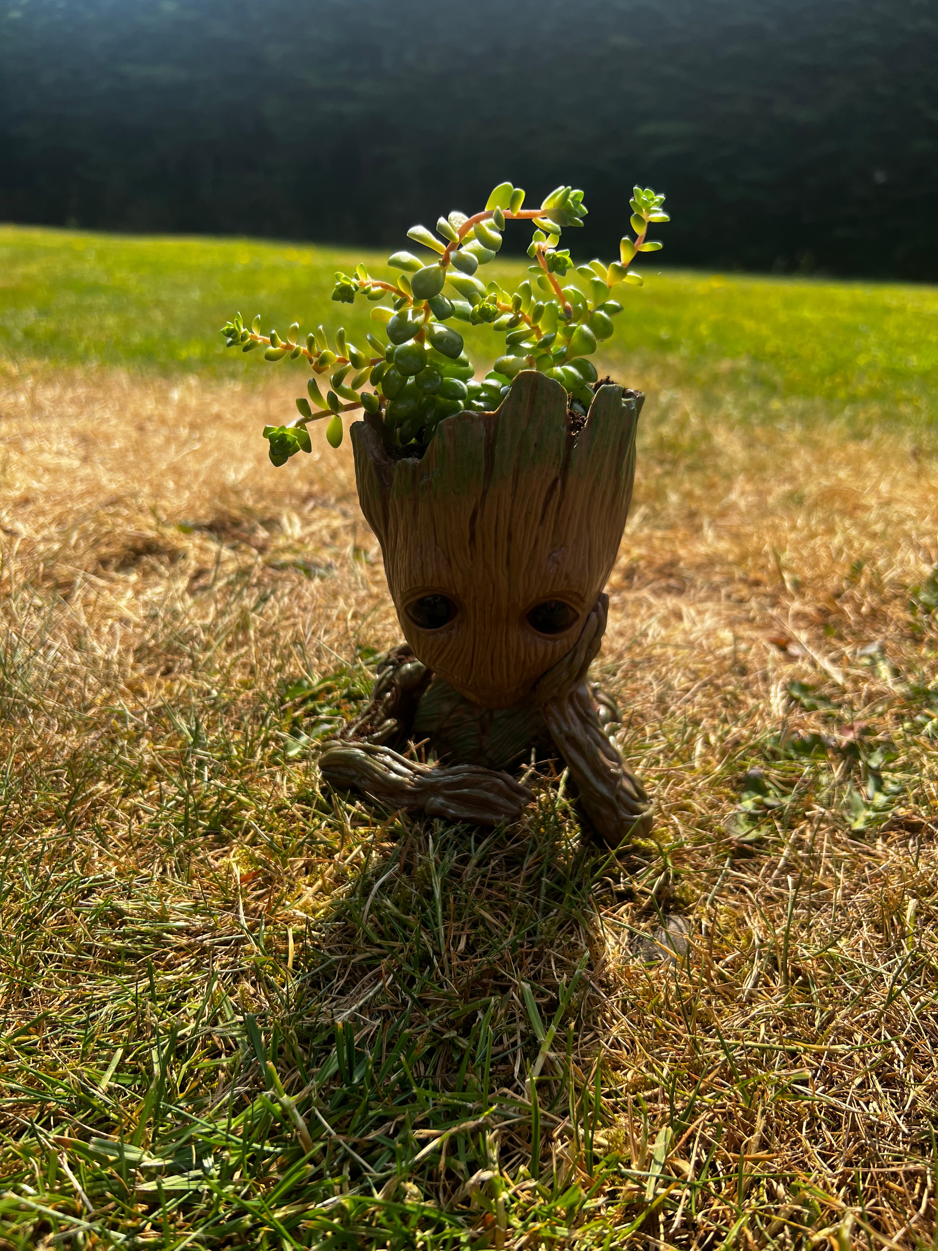 Baby Groot Figure, Succulent Planter