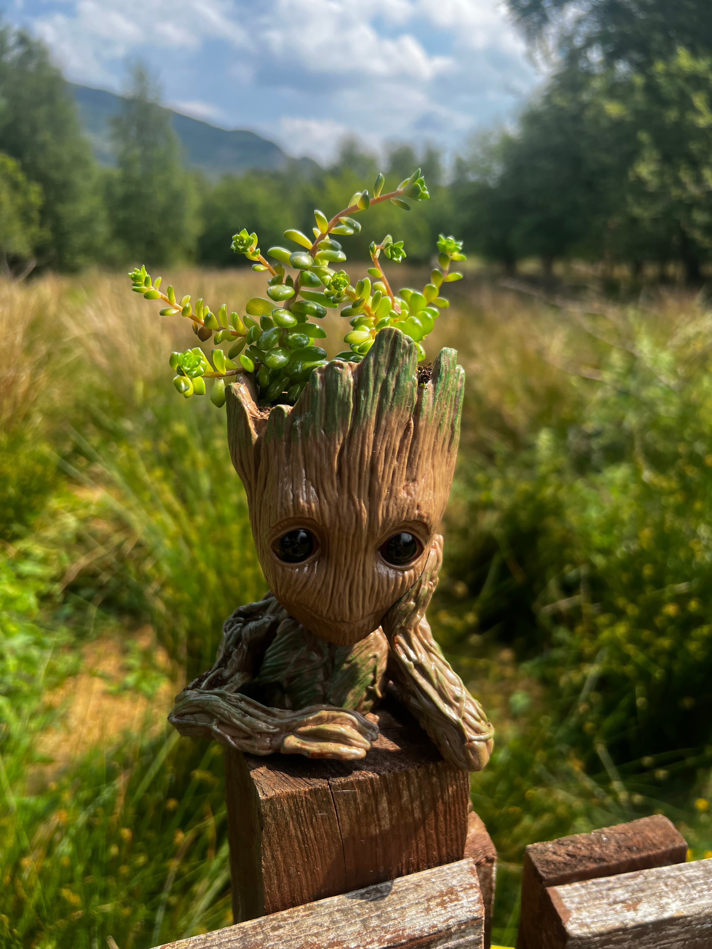 Baby Groot Figure, Succulent Planter