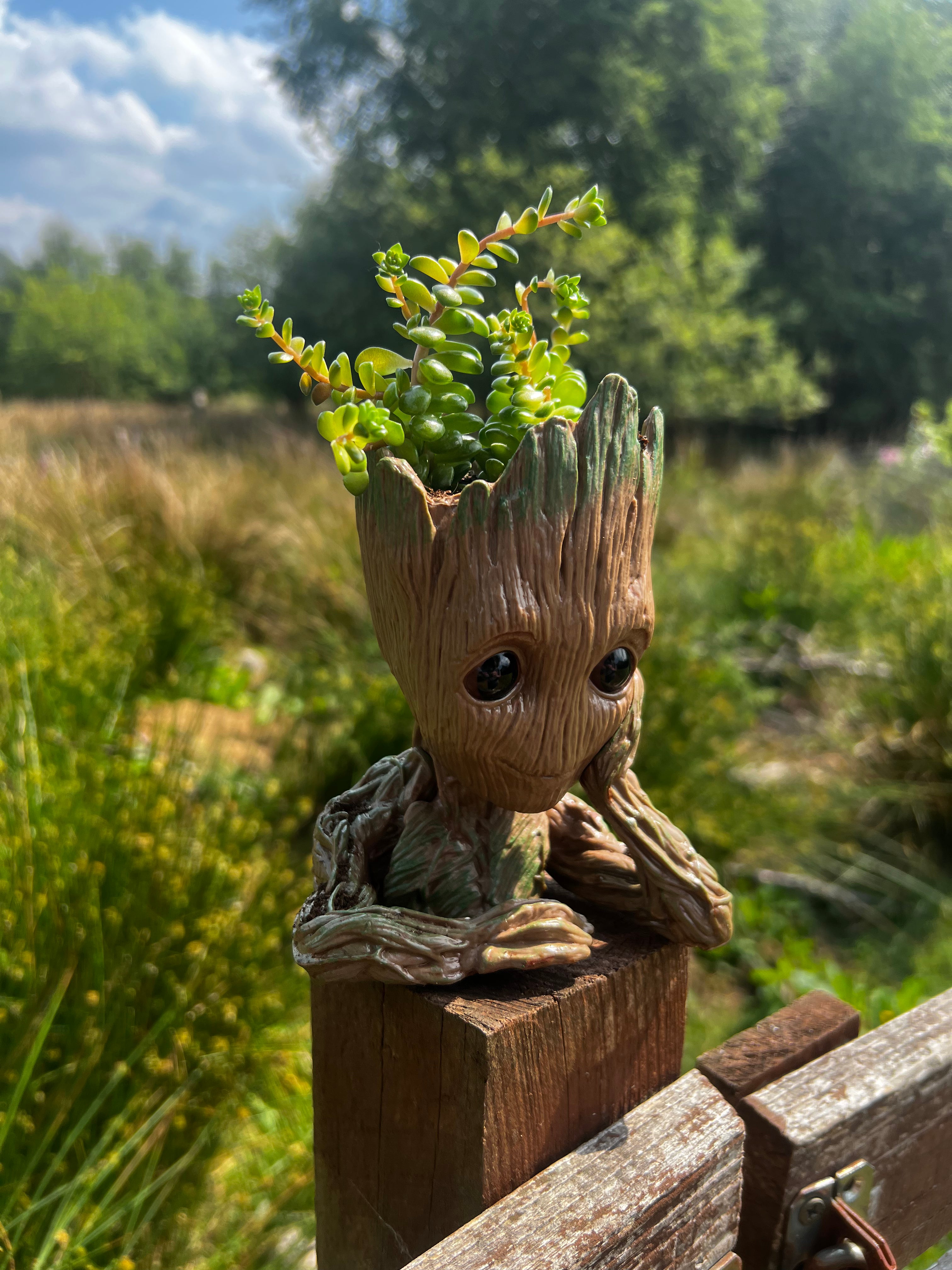 Baby Groot Figure, Succulent Planter