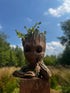 Baby Groot Figure, Succulent Planter