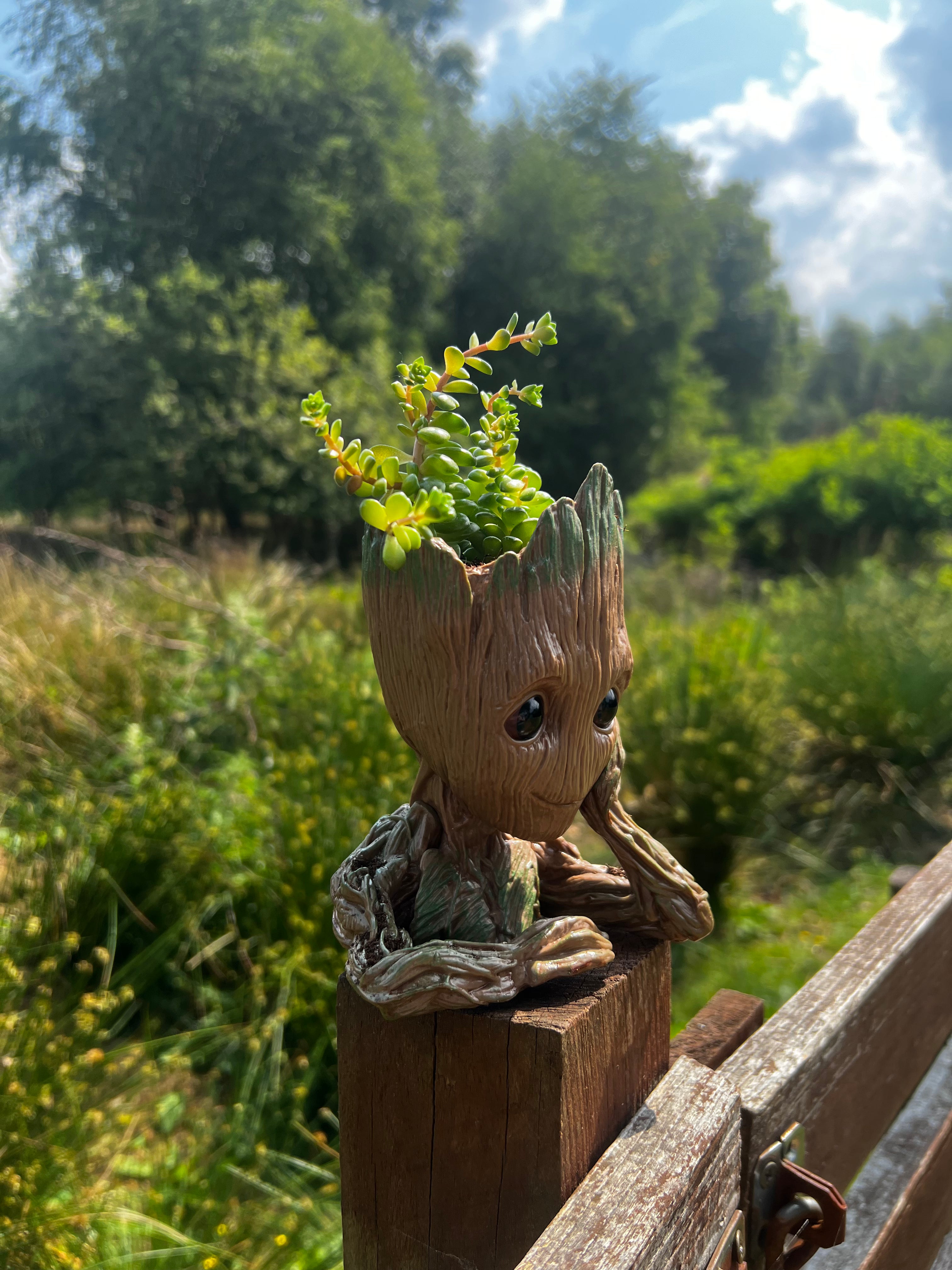 Baby Groot Figure, Succulent Planter