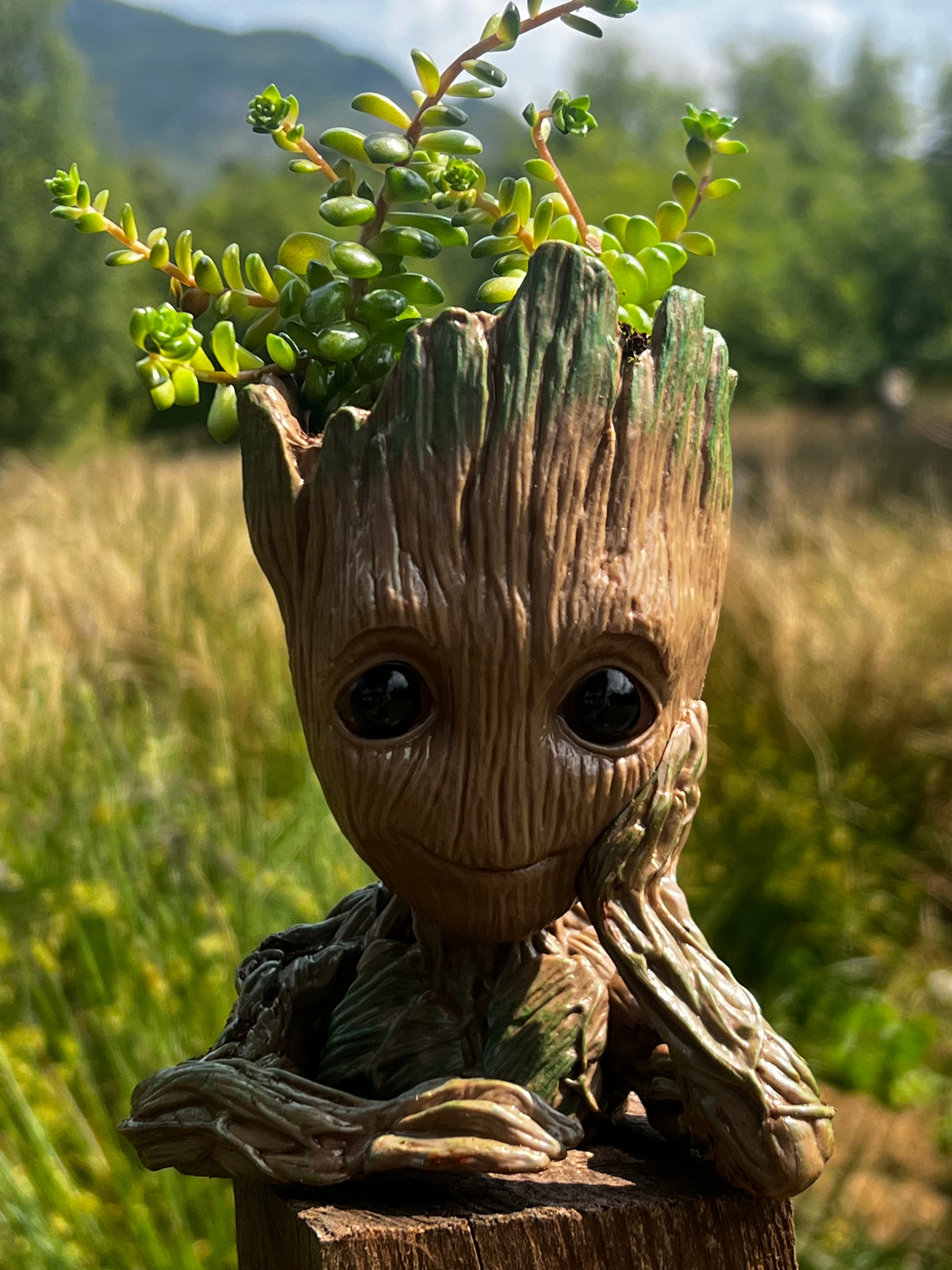 Baby Groot Figure, Succulent Planter