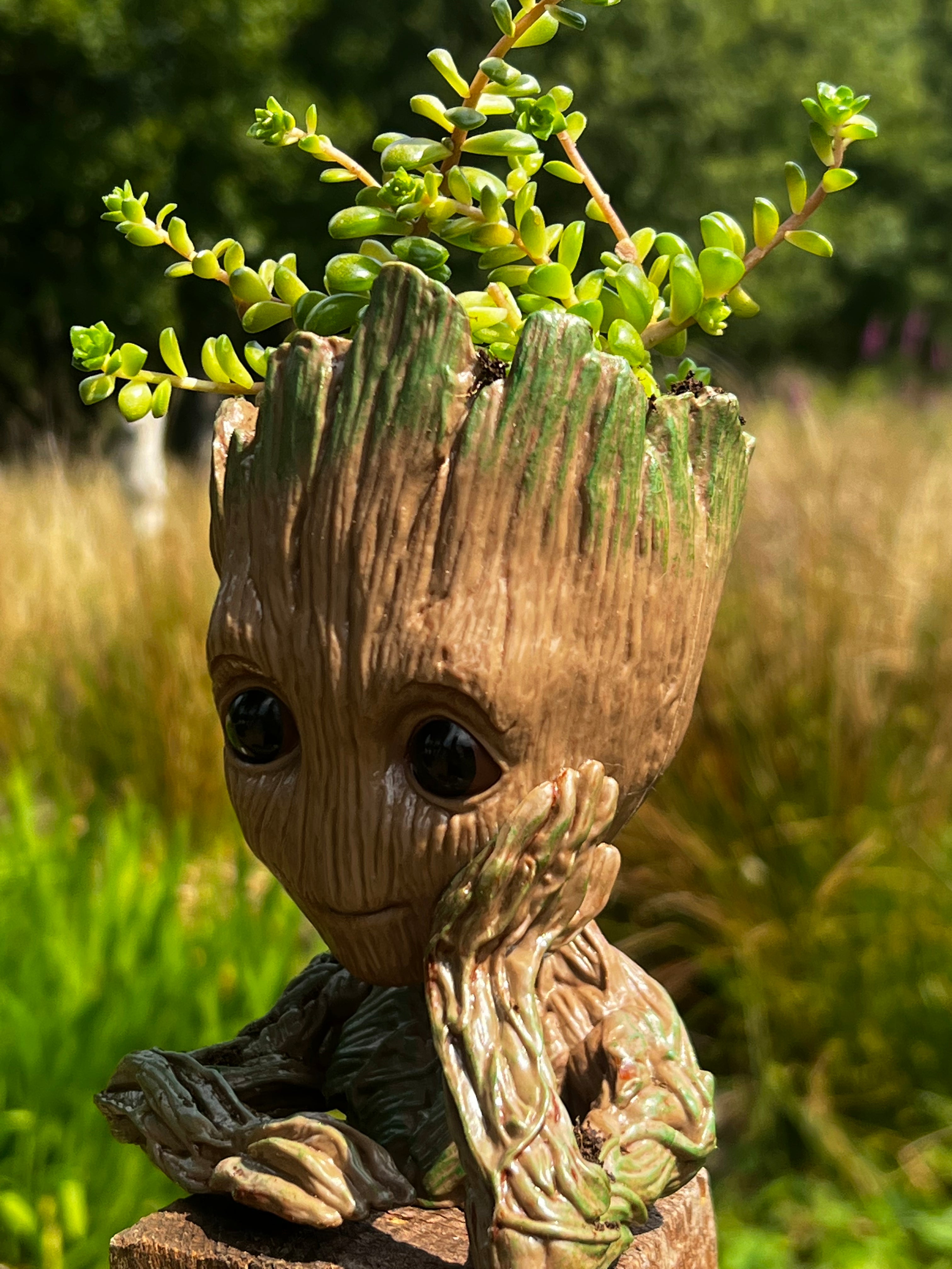 Baby Groot Figure, Succulent Planter