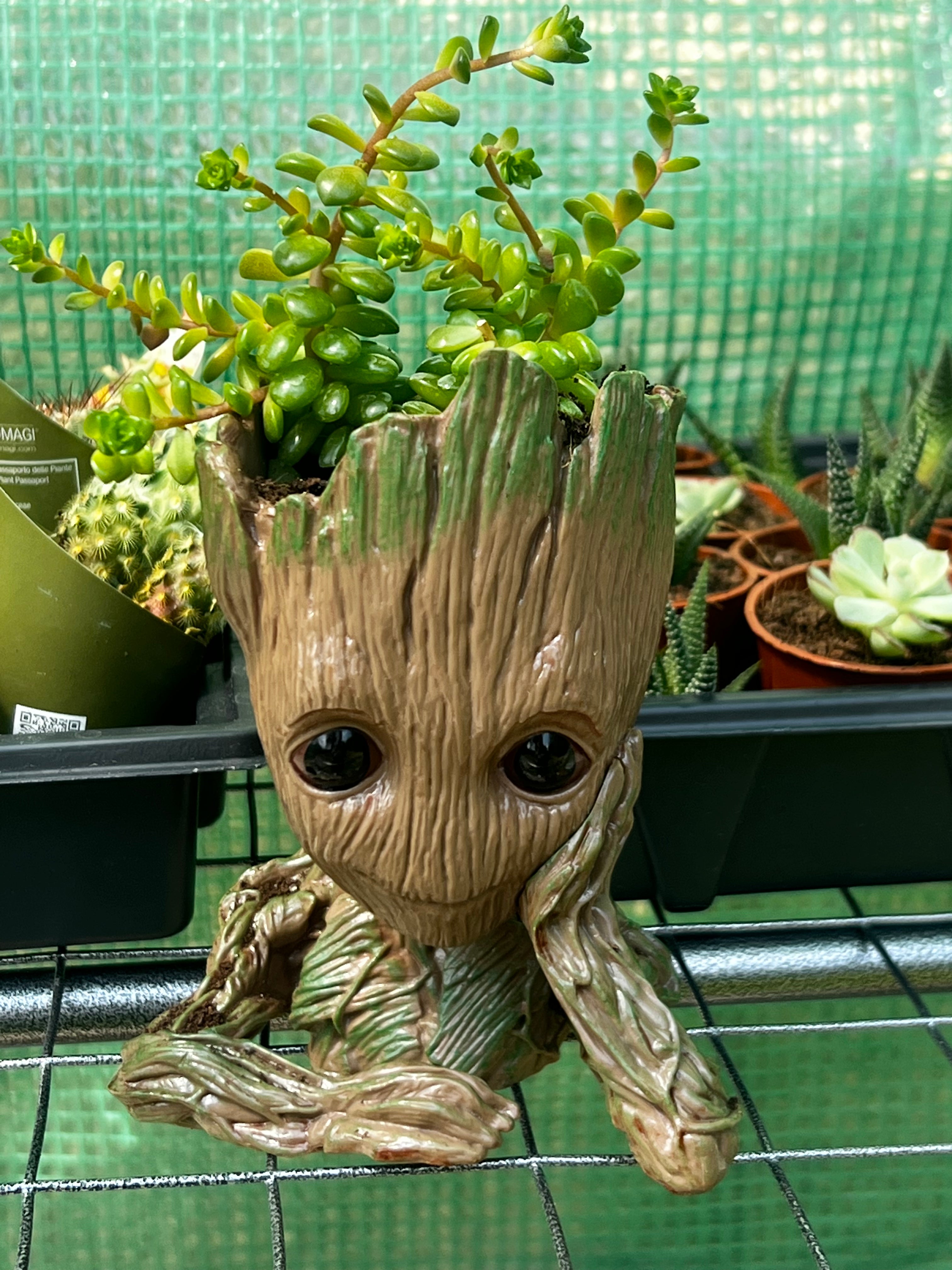 Baby Groot Figure, Succulent Planter