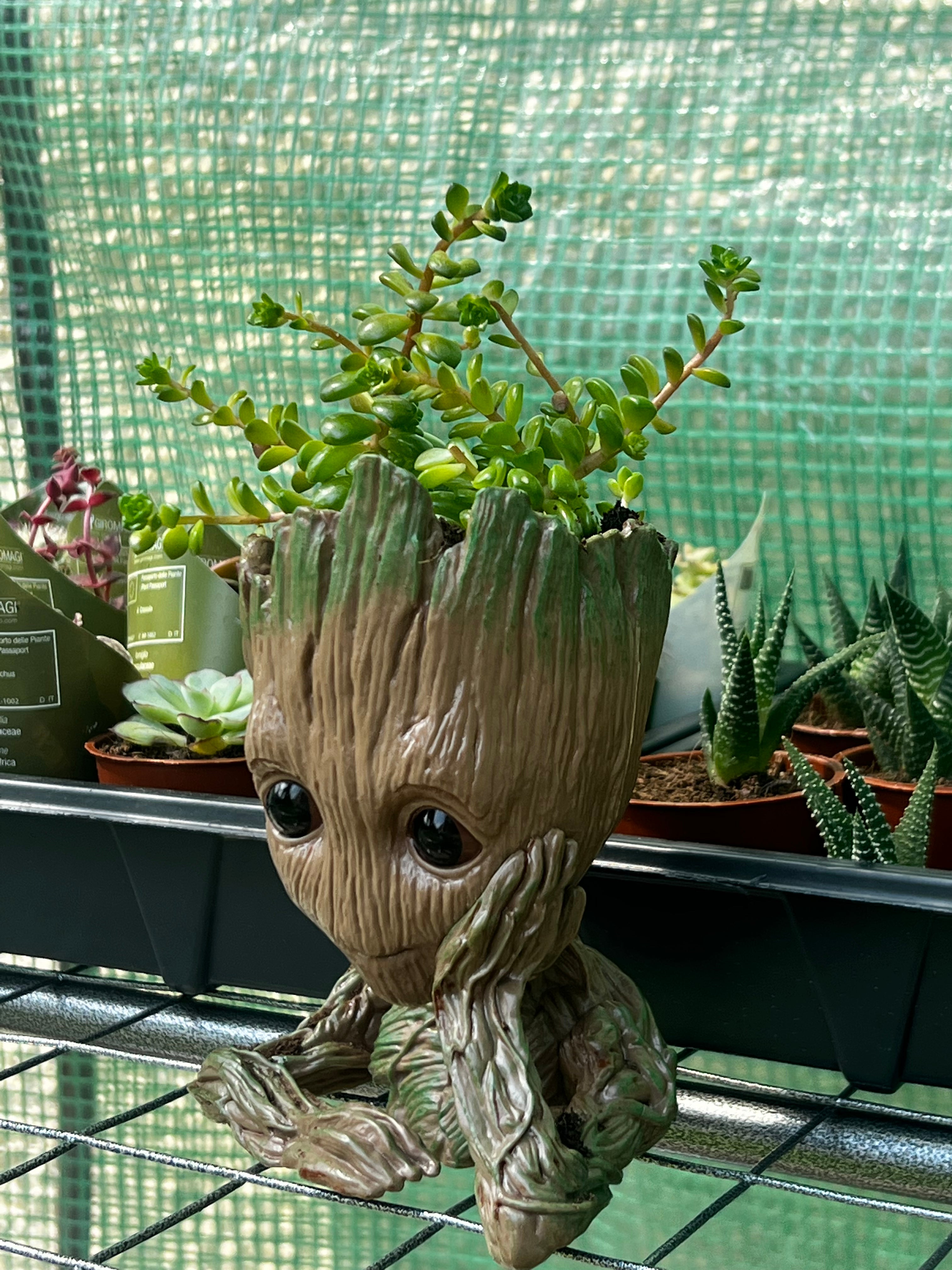 Baby Groot Figure, Succulent Planter