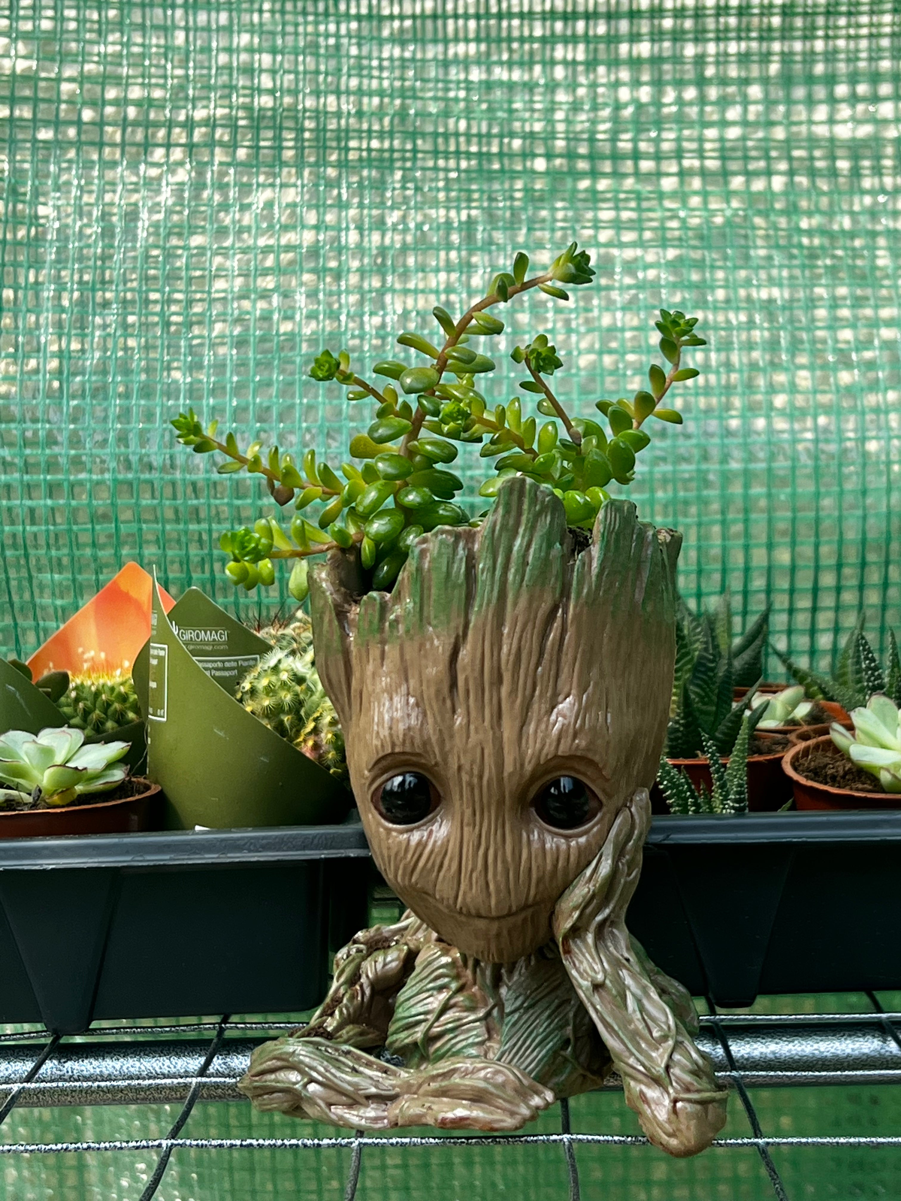 Baby Groot Figure, Succulent Planter