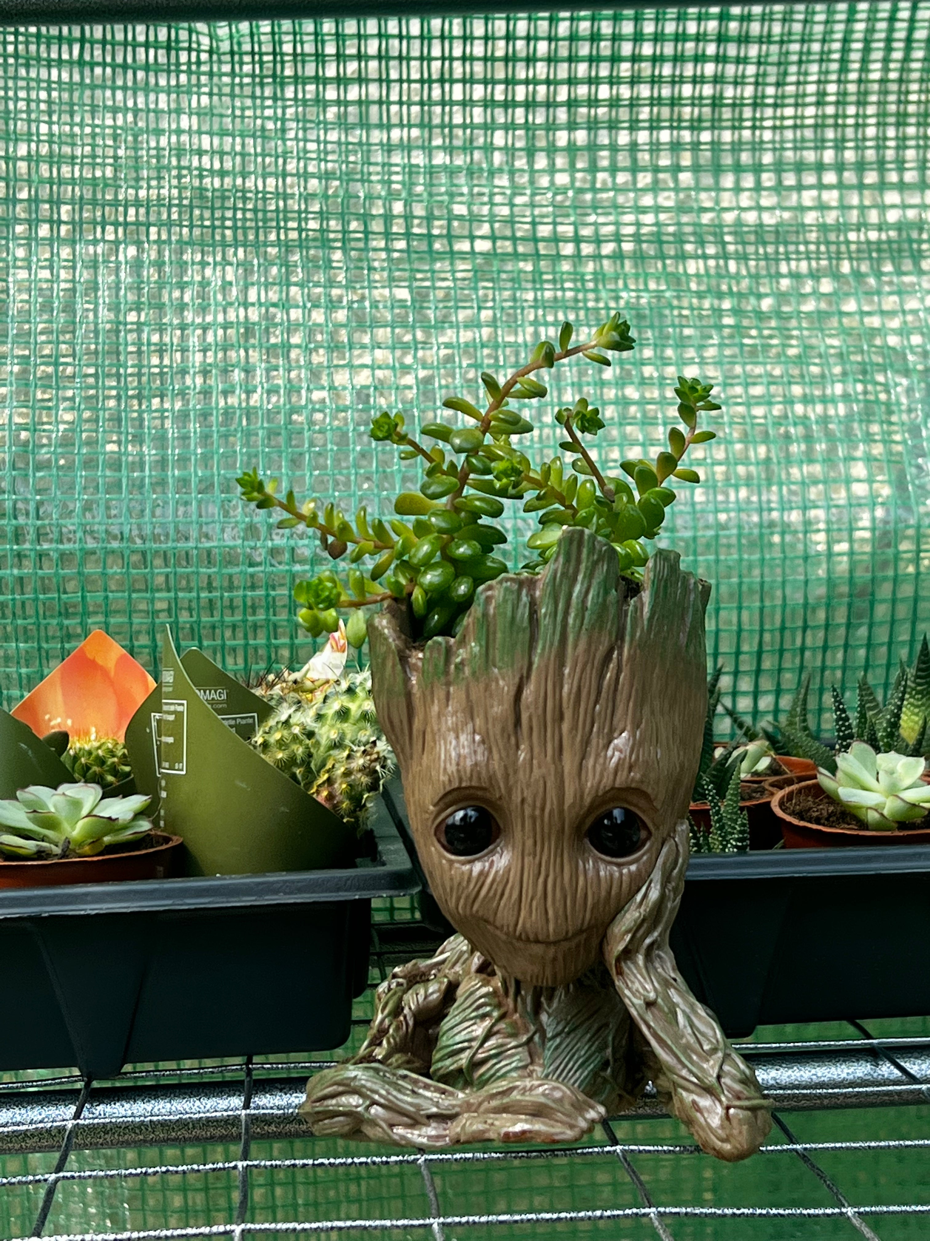 Baby Groot Figure, Succulent Planter