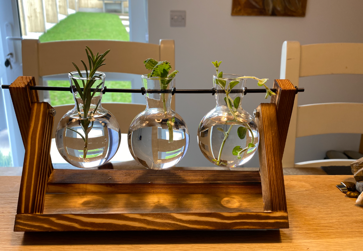 Bulb Vases with Wooden Stand | Vintage Style Plant Stand | 3 Vase Propagation Station | Desktop Glass Planter | Hydroponic Table Top Planter