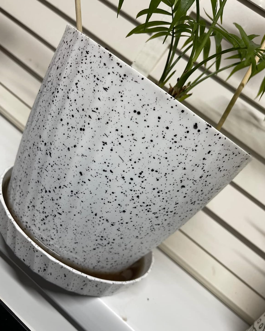 8 Pack Plant Pots Indoor, 19/17.5/16.5/16/14/13/11.5/10cm Stripe Grooves Plastic Flower Pots White Pebble Dash