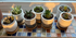 Pack of 6 Ceramic Mini Korea Style 6cm Snow Serial Full Set succulent Plant Pots