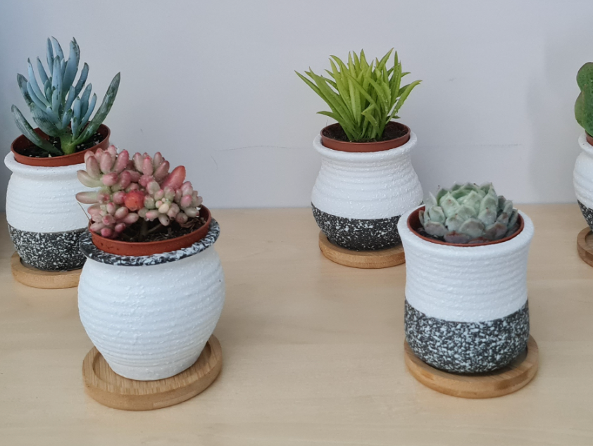 Pack of 6 Ceramic Mini Korea Style 6cm Snow Serial Full Set succulent Plant Pots