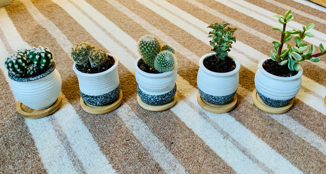 Pack of 6 Ceramic Mini Korea Style 6cm Snow Serial Full Set succulent Plant Pots