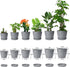 8 Pack Plant Pots Indoor, 19/17.5/16.5/16/14/13/11.5/10cm Stripe Grooves Plastic Flower Pots Grey