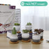 Pack of 6 Ceramic Mini Korea Style 6cm Snow Serial Full Set succulent Plant Pots