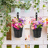 10pcs Hanging Flower Pots, Metal Iron Wall Planter Indoor/Outdoor for Railing Fence Balcony