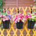 10pcs Hanging Flower Pots, Metal Iron Wall Planter Indoor/Outdoor for Railing Fence Balcony